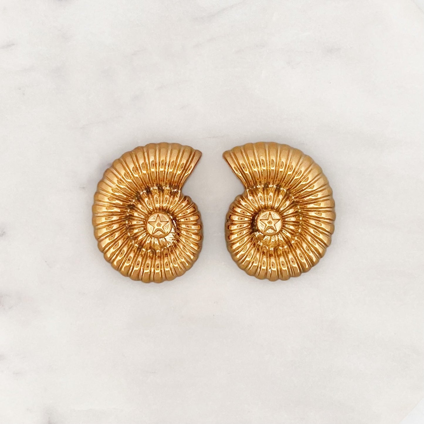 Seashell Earstud Set